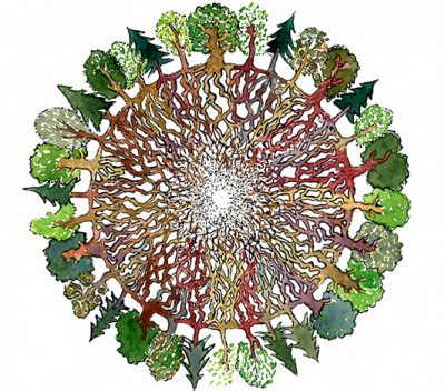 bg-round-graswide-small